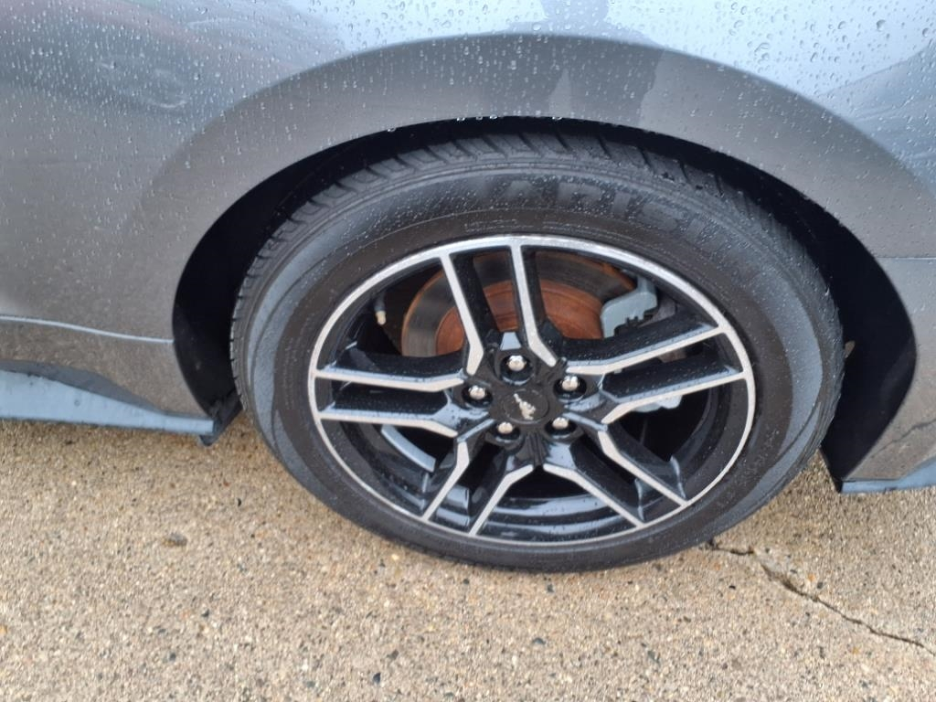 Ford Mustang EcoBoost Convertible 2023