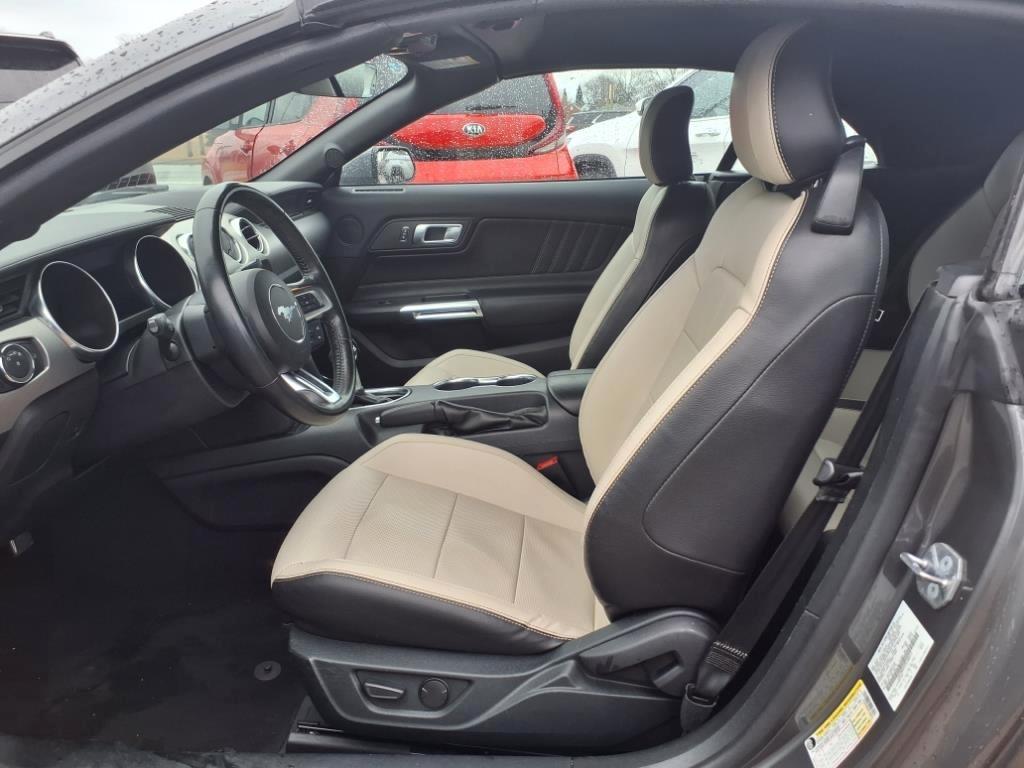 Ford Mustang EcoBoost Convertible 2023