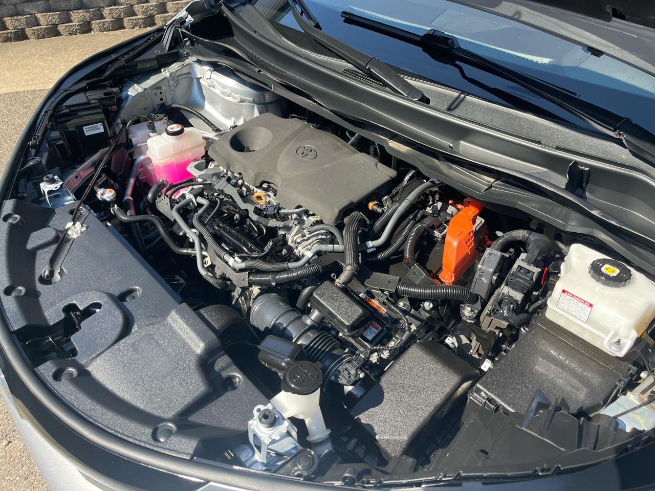 Toyota Sienna Platinum AWD 7-Passenger (Natl) 2022