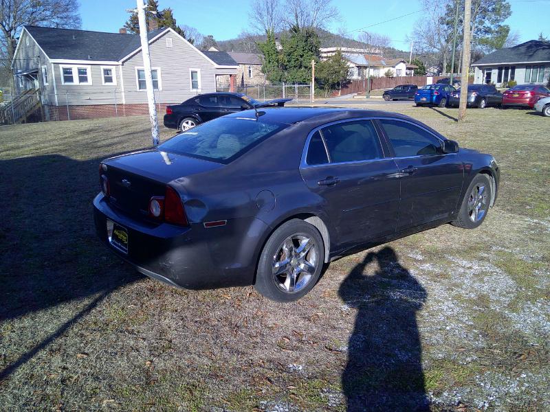 Chevrolet Malibu Fleet 2010