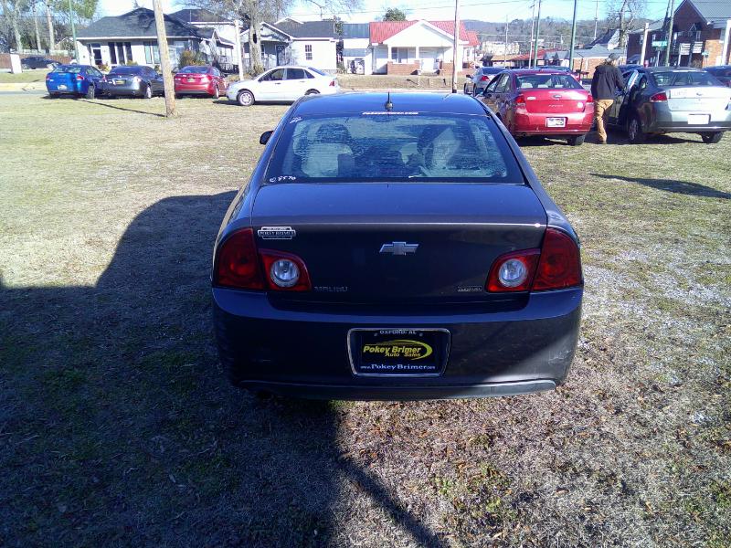 Chevrolet Malibu Fleet 2010