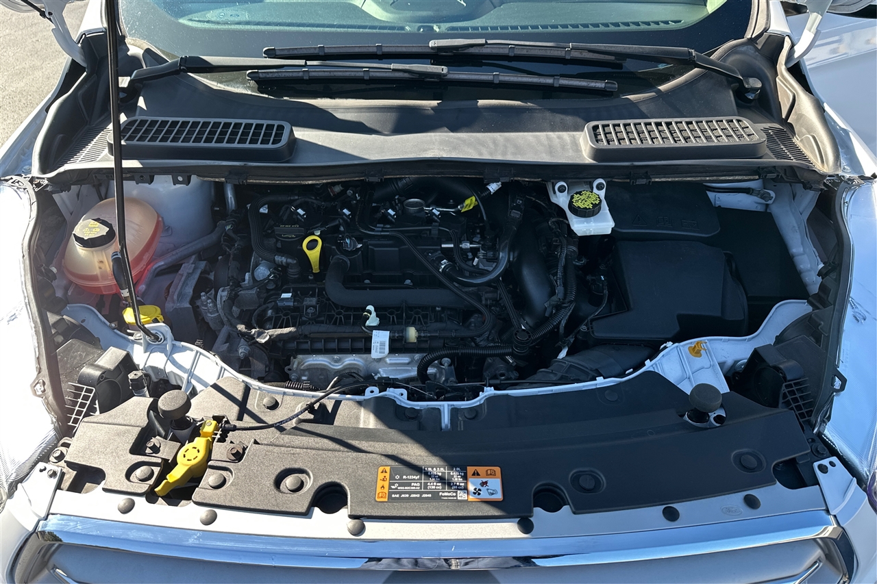 Ford Escape SE 4D SUV 4WD 2019