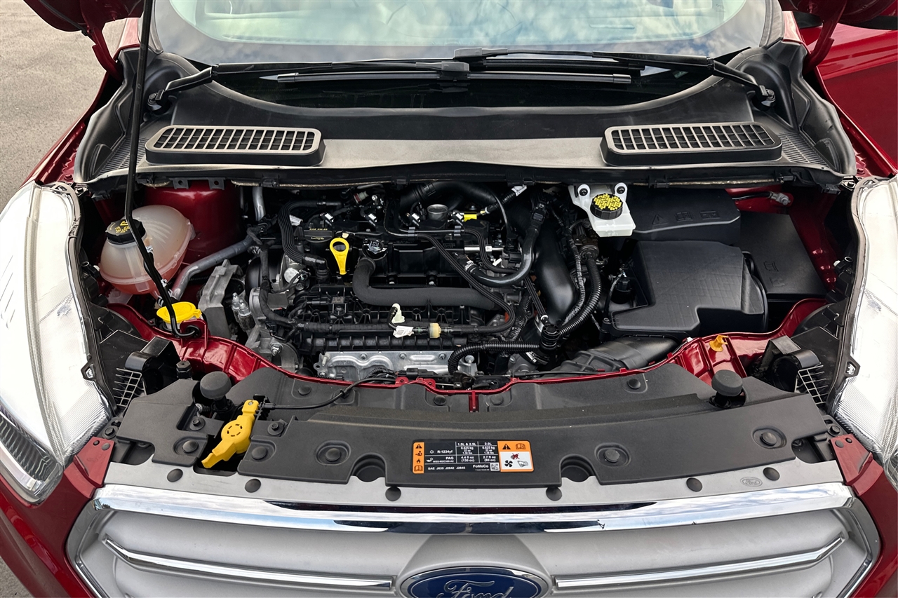 Ford Escape SE 4D SUV FWD 2019