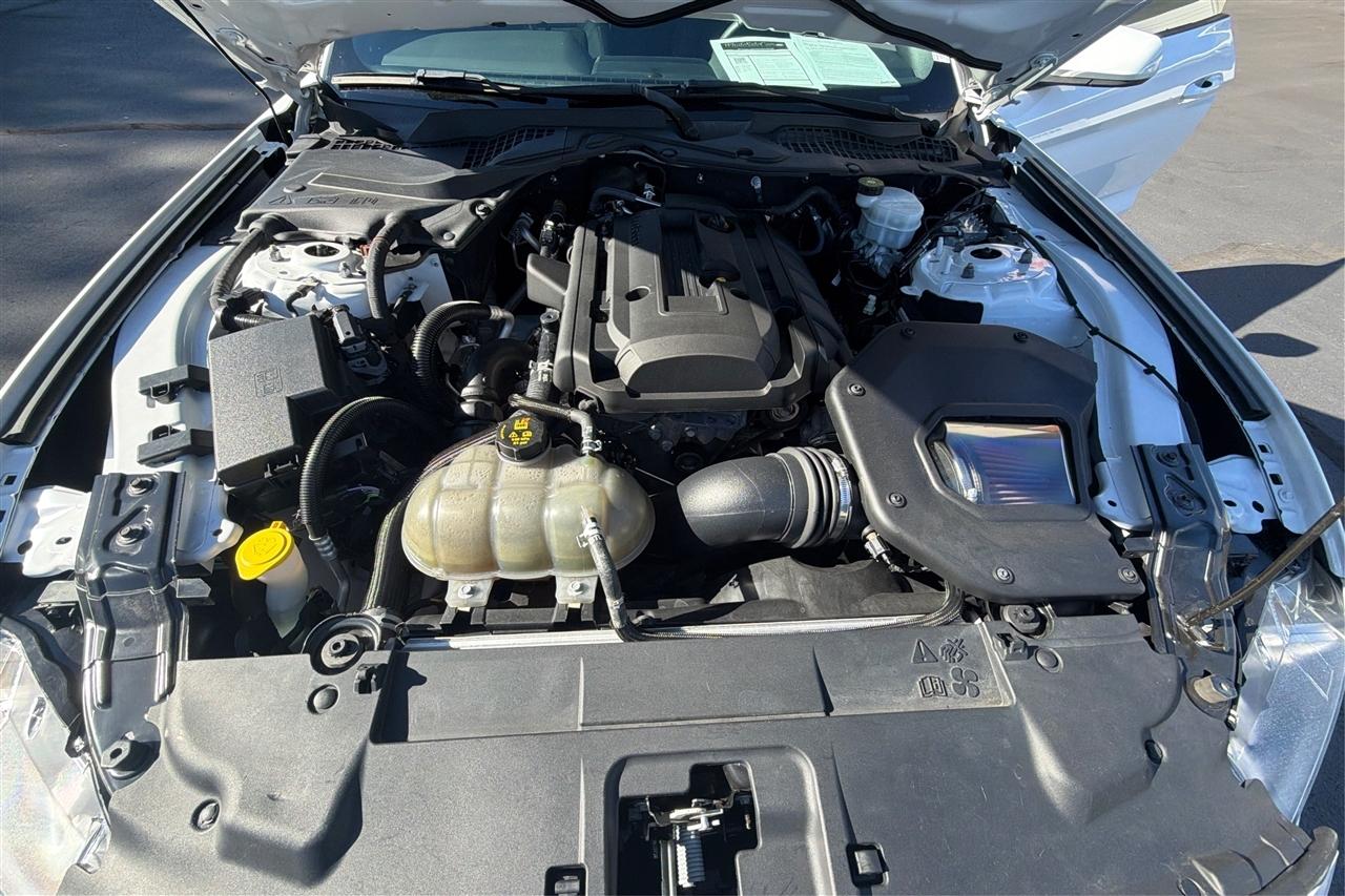 Ford Mustang Eco 2D Coupe 2019