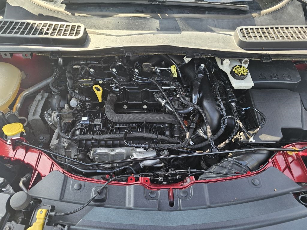 Ford Escape SE FWD 2019 Ford Escape SE FWD 2019