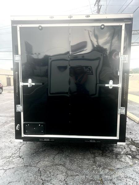 Steel Pines Cargo  2026