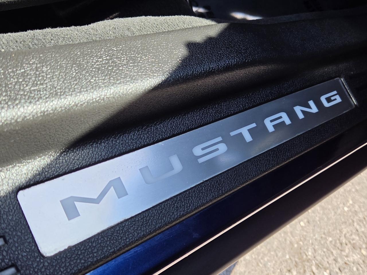 Ford Mustang  2010