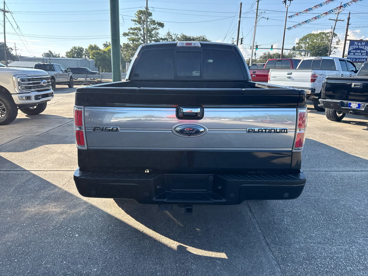 2014 Ford F-150 Platinum photo 2