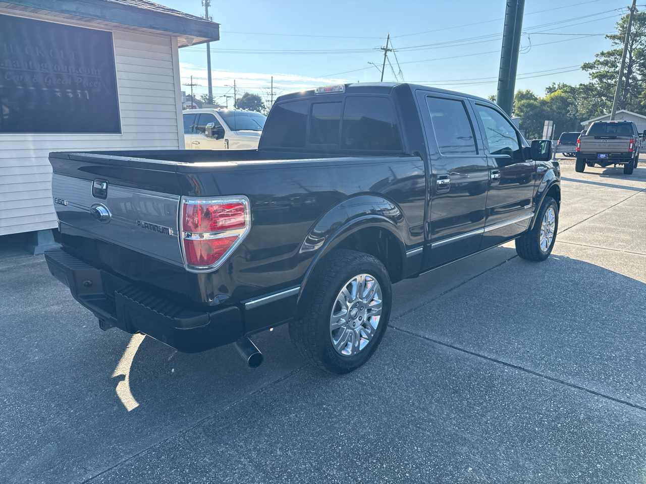 2014 Ford F-150 Platinum photo 3