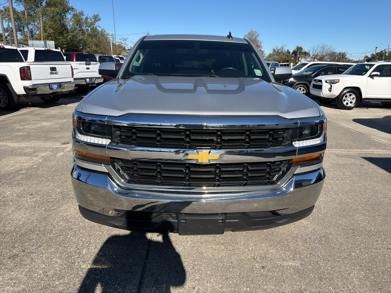 Chevrolet Silverado 1500 LT Double Cab 2WD 2019