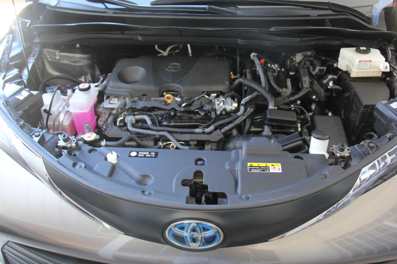 Toyota Sienna LE 8-Passenger 2024