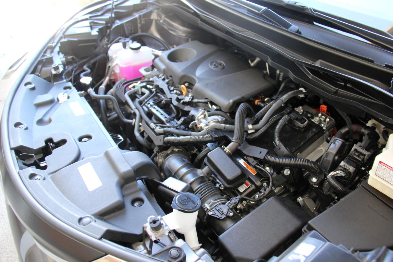 Toyota Sienna LE 8-Passenger 2024