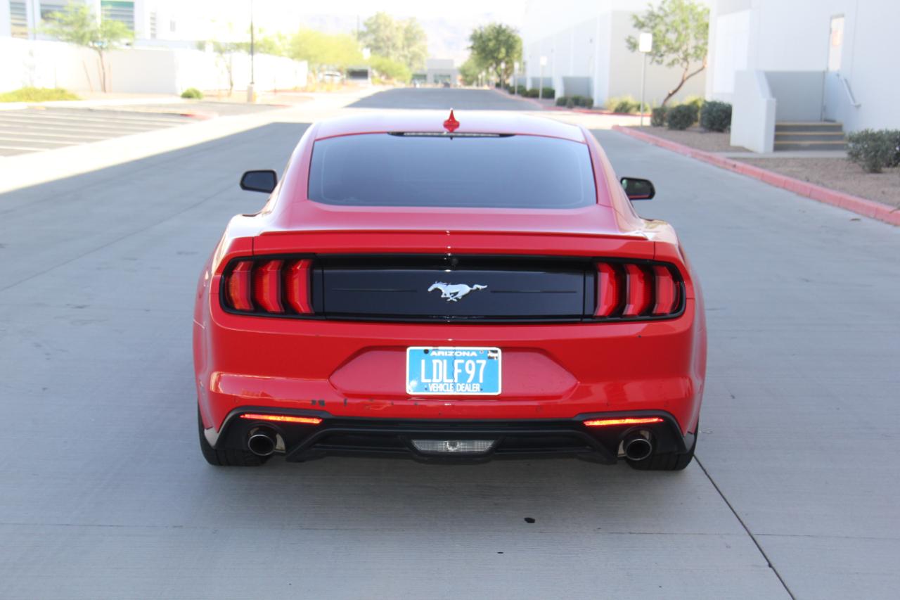 Ford Mustang EcoBoost Coupe 2023