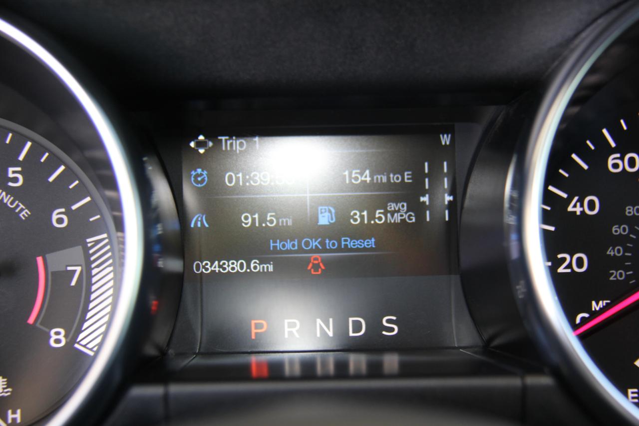 Ford Mustang EcoBoost Coupe 2023