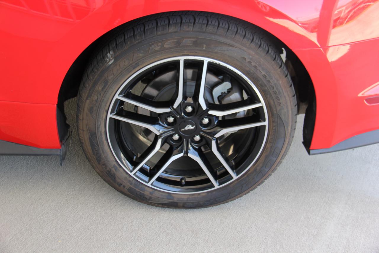 Ford Mustang EcoBoost Coupe 2023