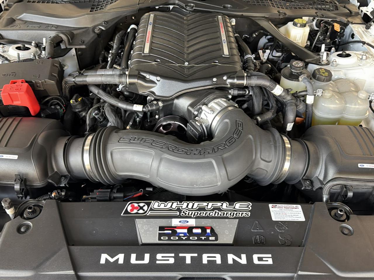 Ford Mustang 2dr Coupe GT 2025