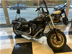 2009 Harley-Davidson FXDF 
