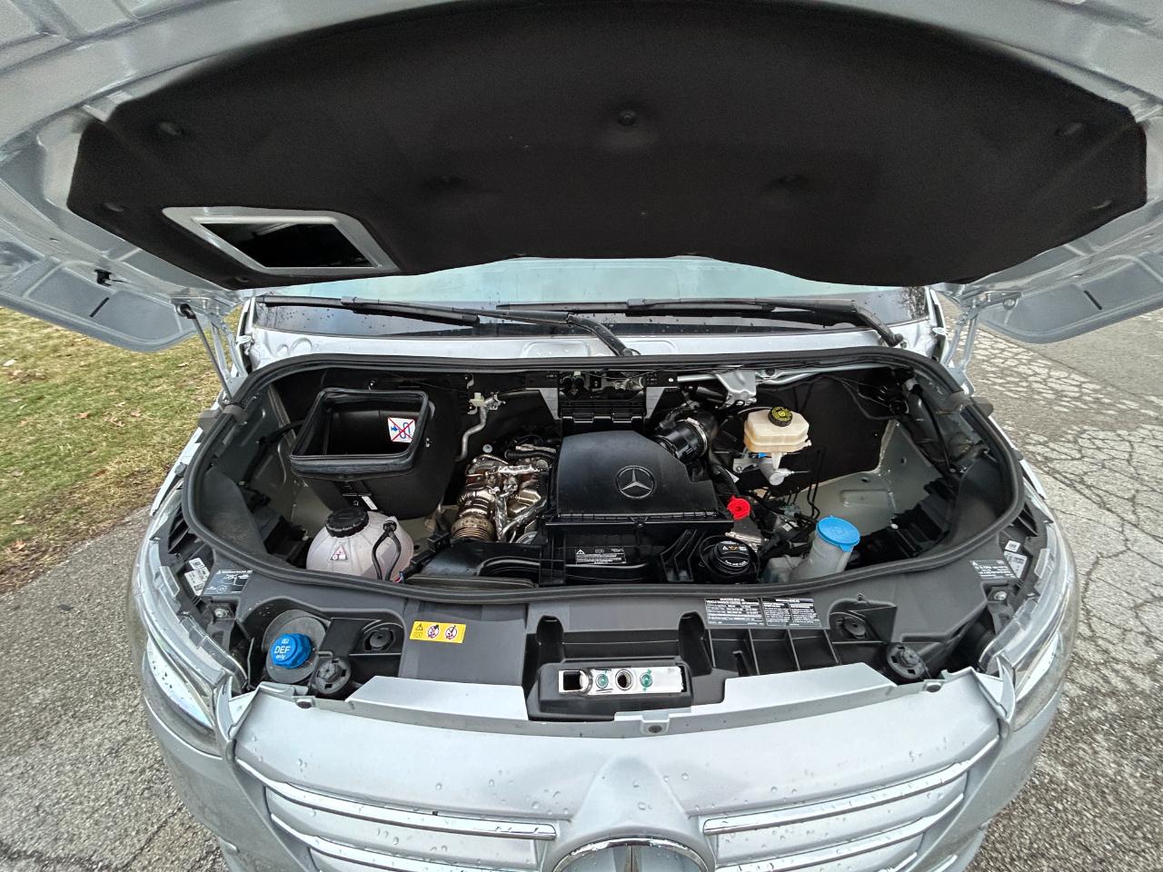 American Coach MD4 Lounge  2024