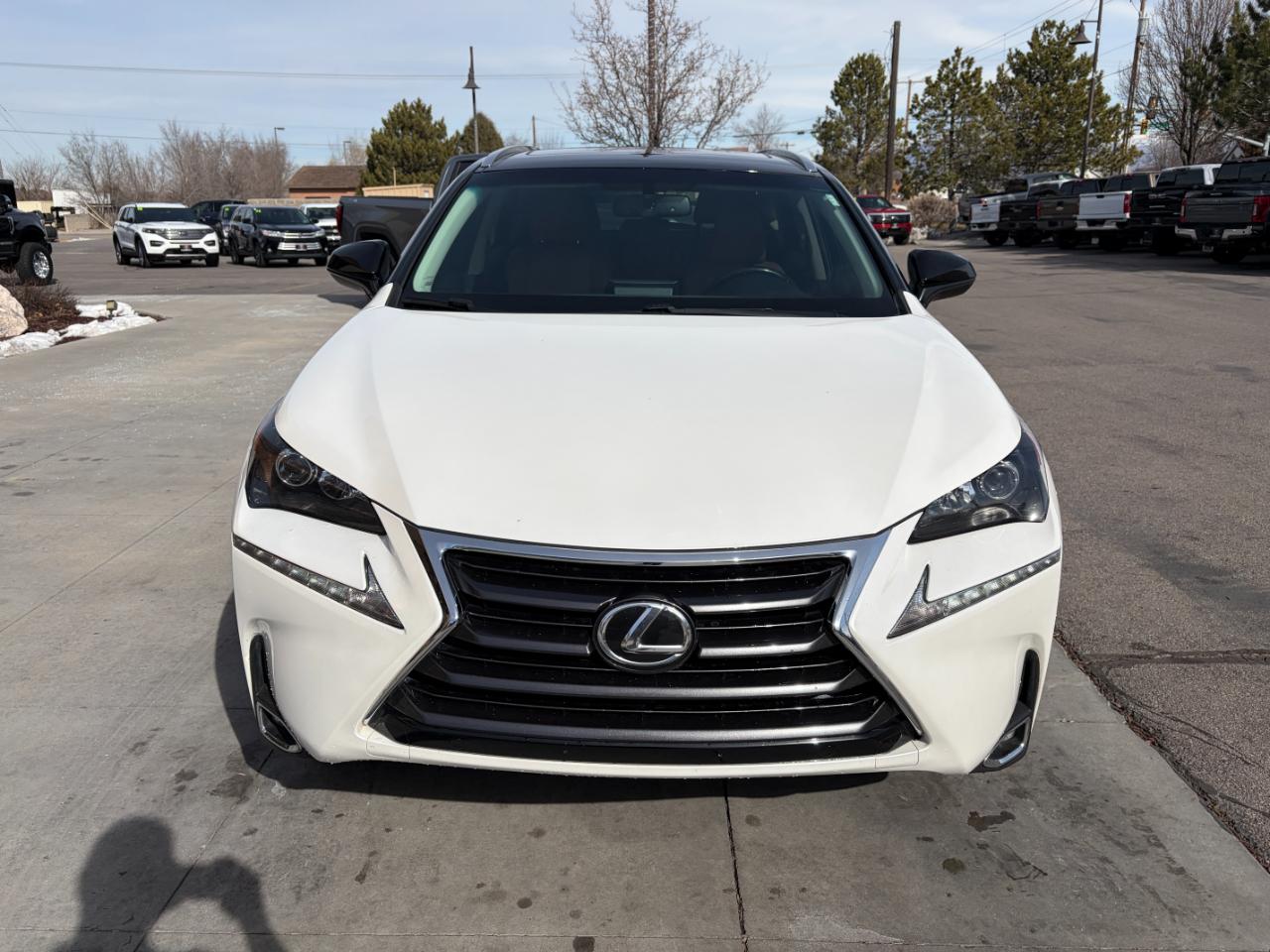 Lexus NX NX Turbo AWD 2017