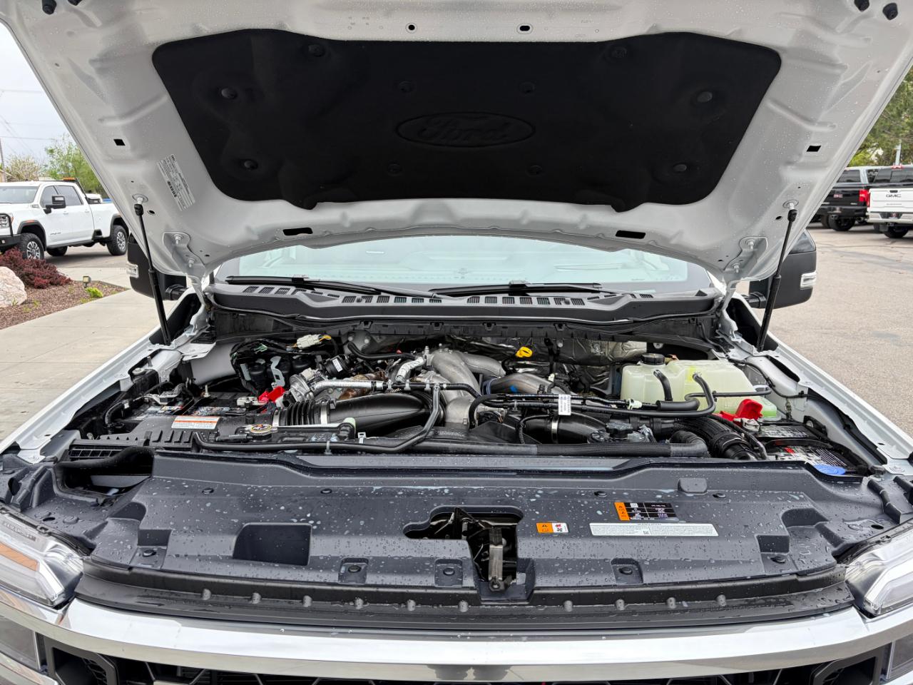 Ford Super Duty F-450 DRW Platinum 4WD Crew Cab 8' Box 2025