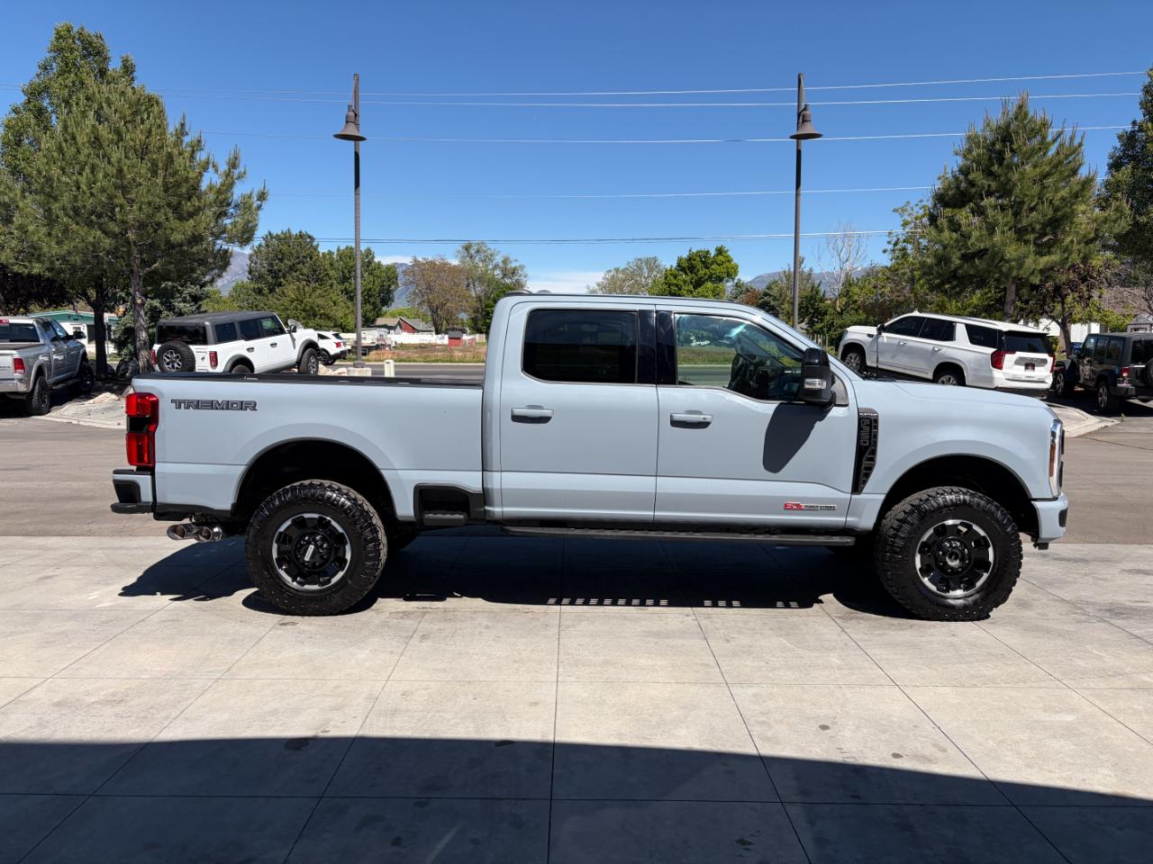 Ford Super Duty F-350 SRW Platinum 4WD Crew Cab 6.75' Box 2025