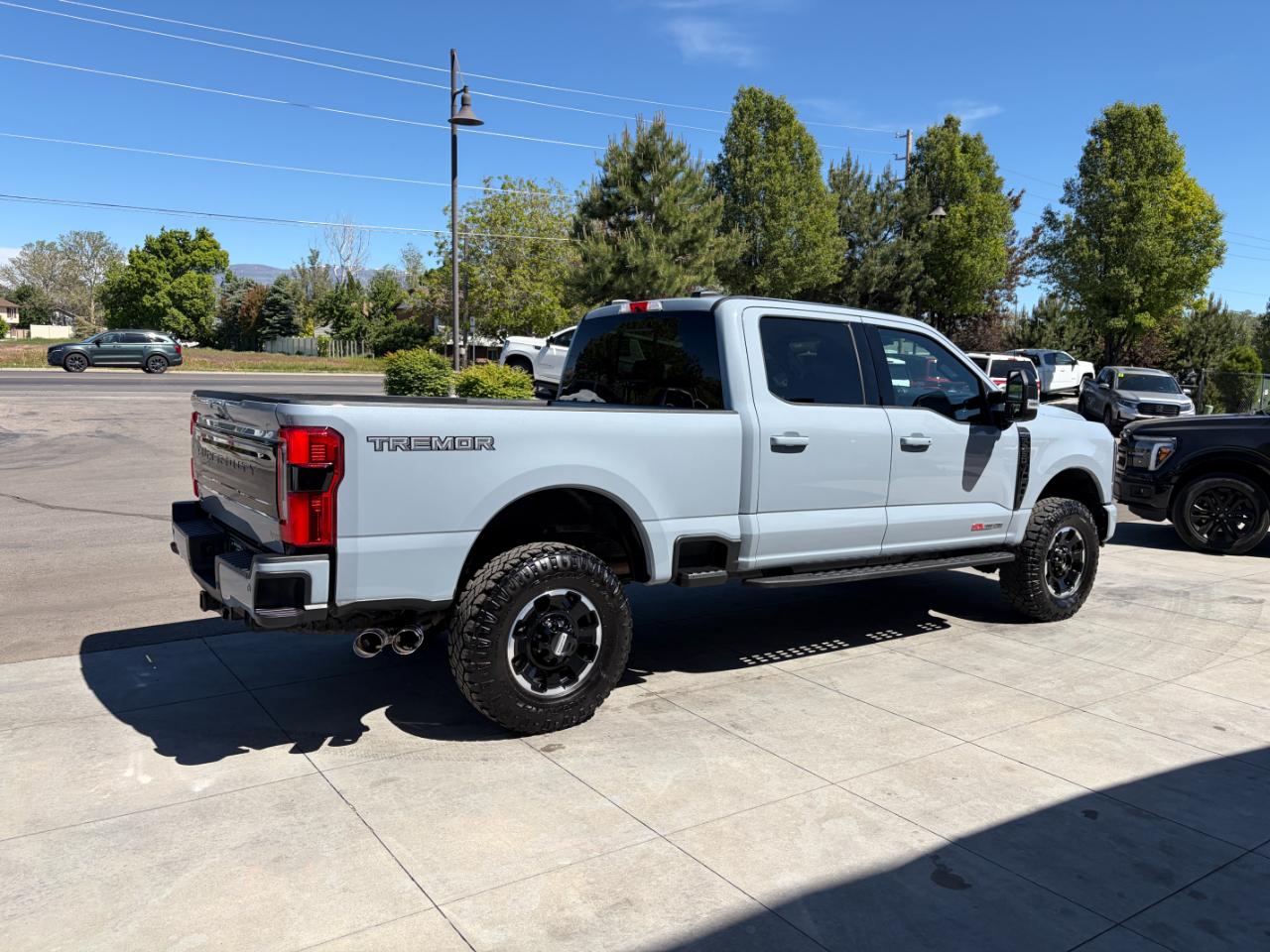 Ford Super Duty F-350 SRW Platinum 4WD Crew Cab 6.75' Box 2025
