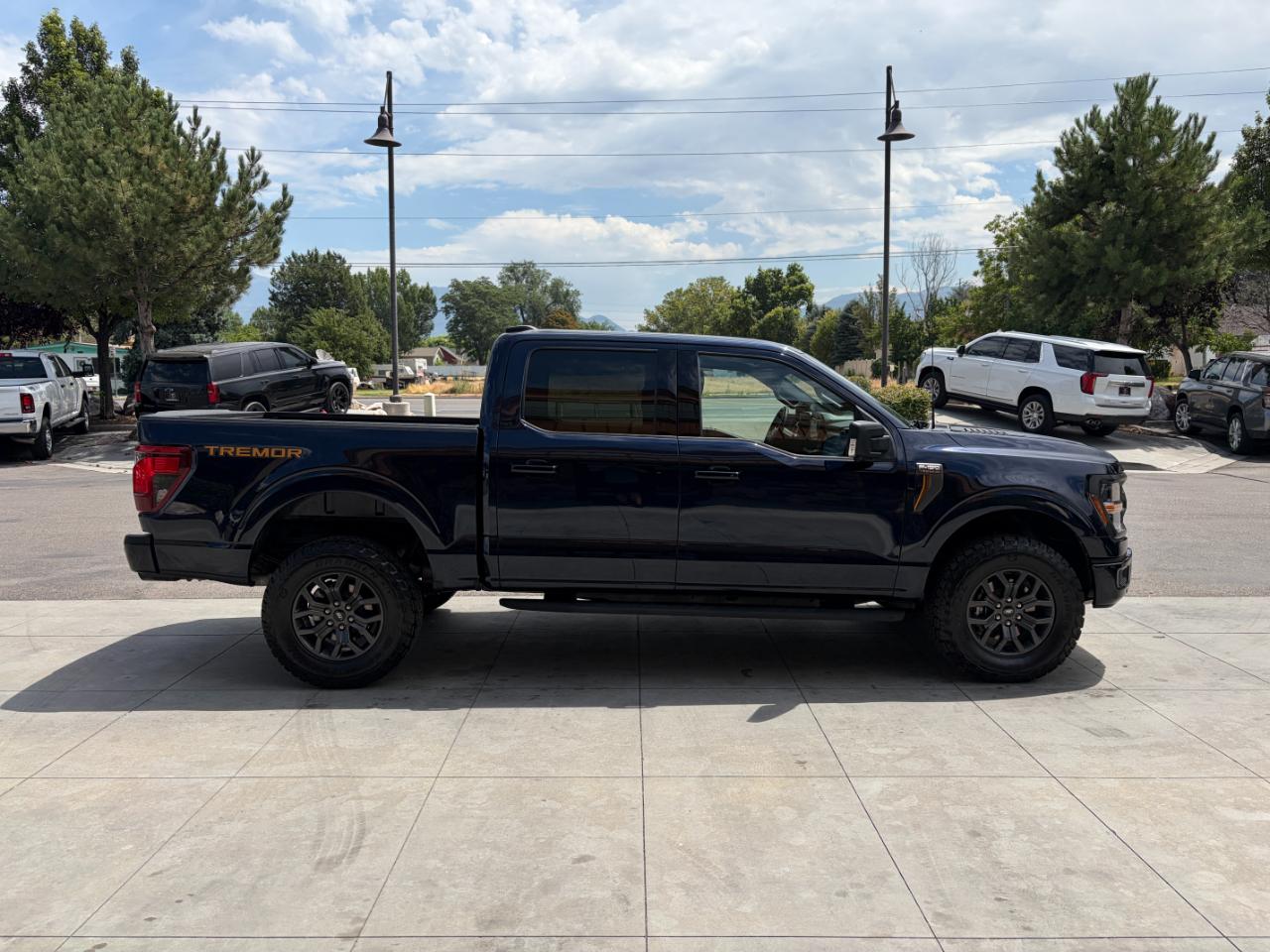Ford F-150 Tremor 4WD SuperCrew 5.5' Box 2025