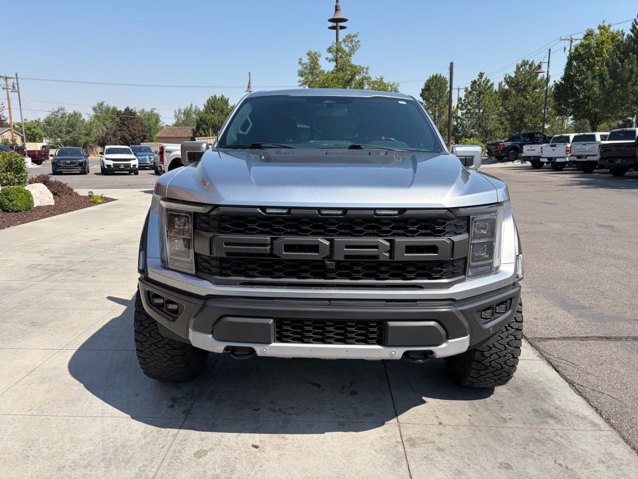 Ford F-150 Raptor 4WD SuperCrew 5.5' Box 2023
