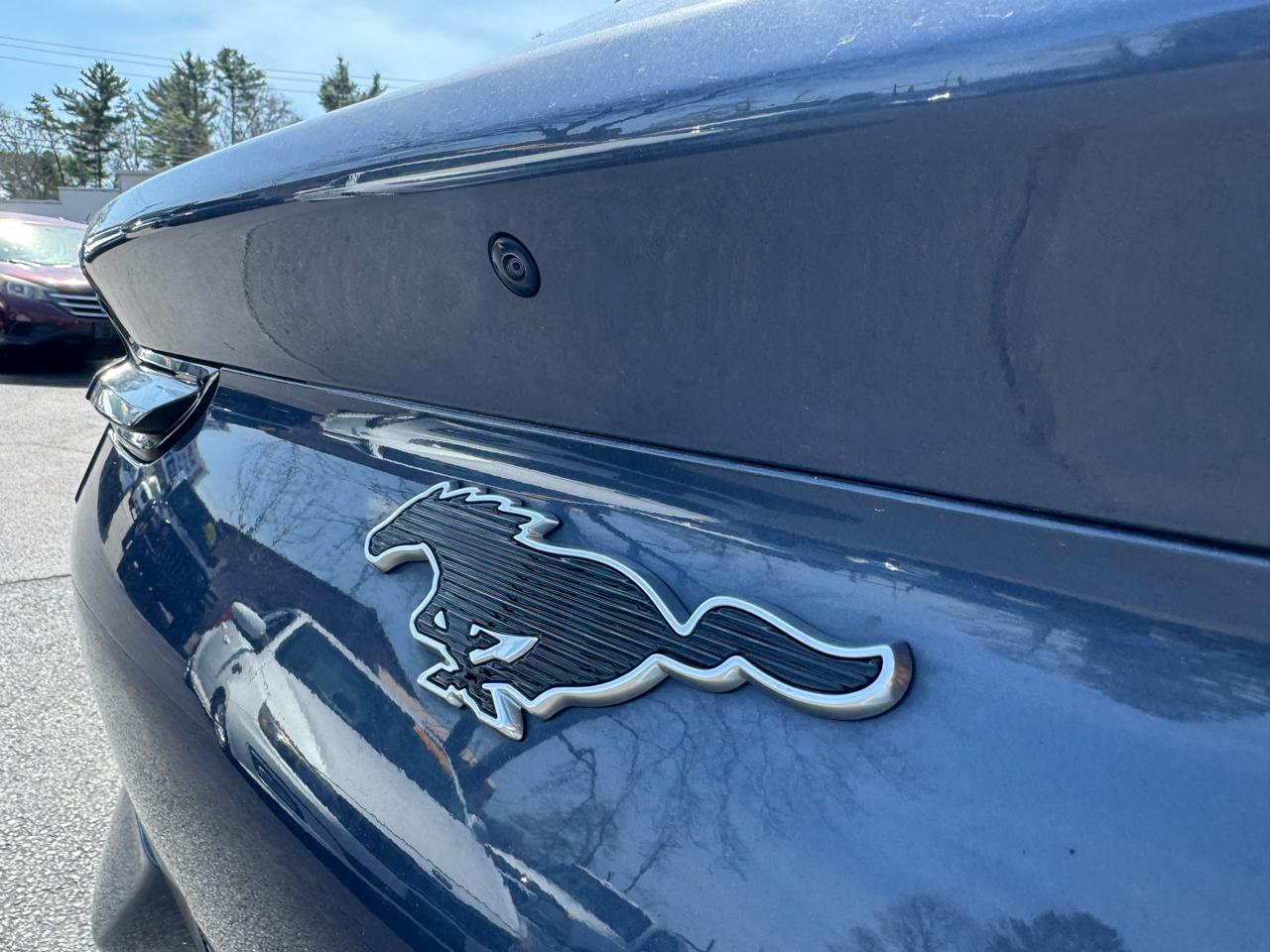 Ford Mustang Mach-E Premium AWD 2021