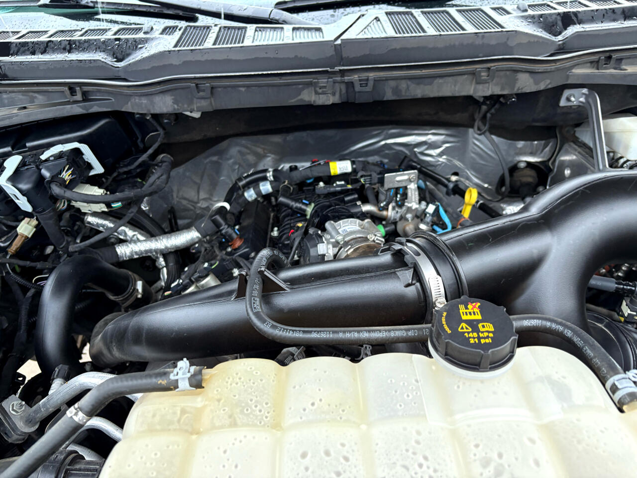 Ford F-150 4WD SuperCrew 139" XL 2021