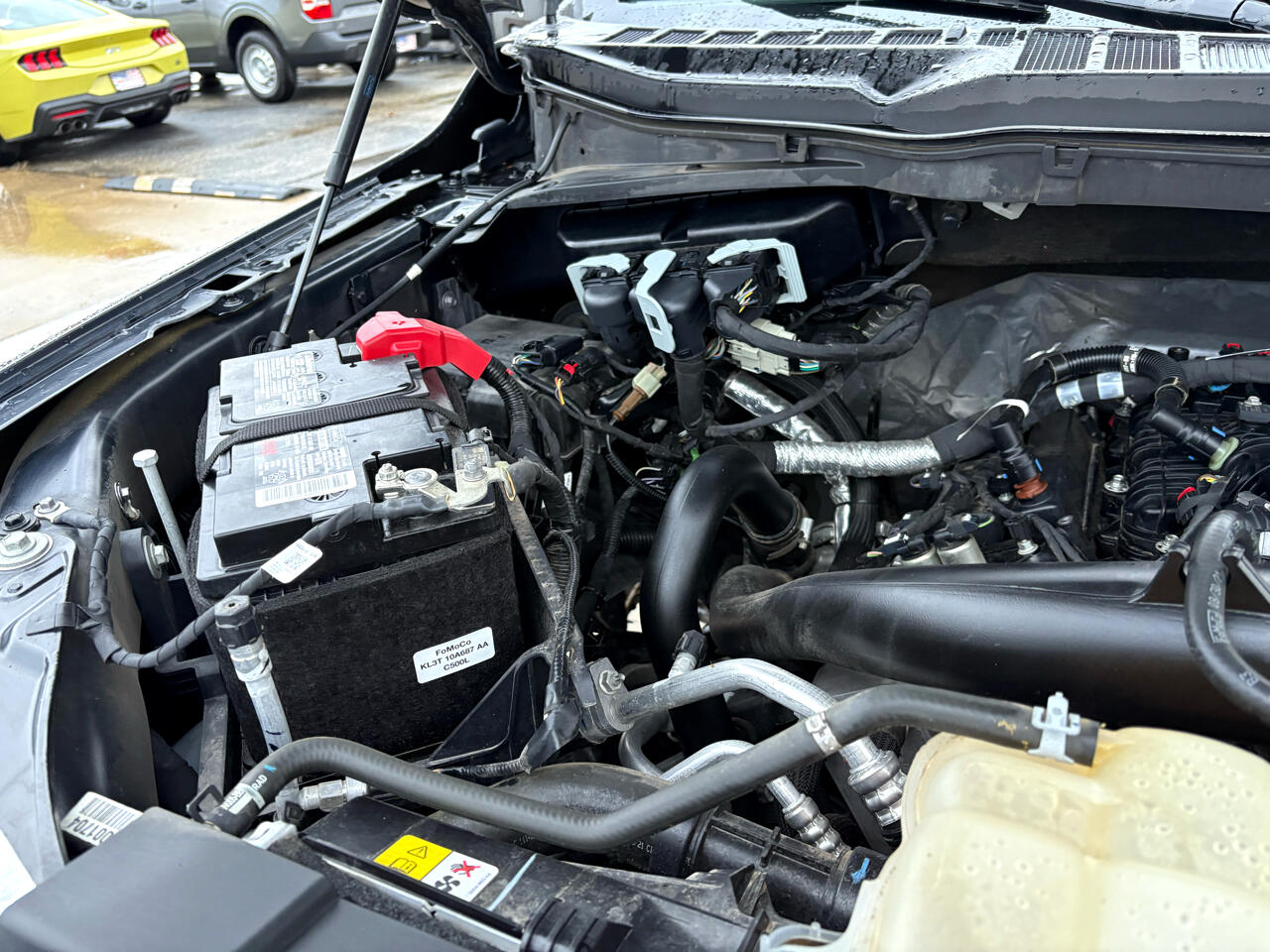 Ford F-150 4WD SuperCrew 139" XL 2021