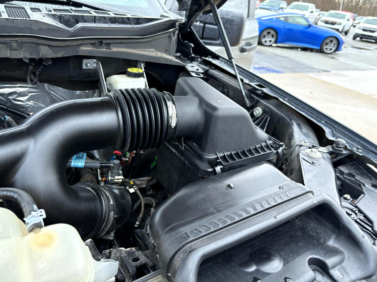 Ford F-150 4WD SuperCrew 139" XL 2021