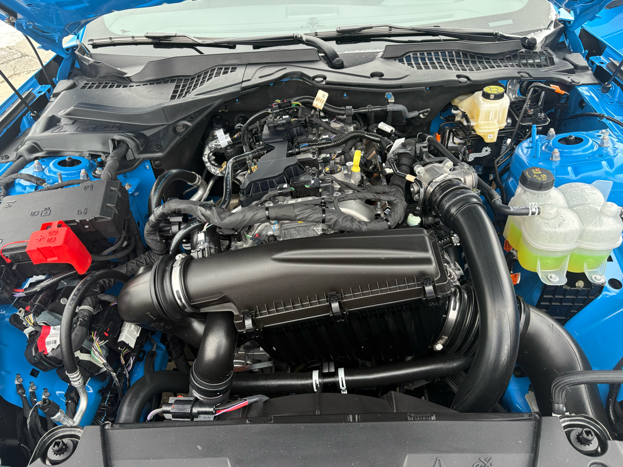 Ford Mustang EcoBoost Fastback 2026