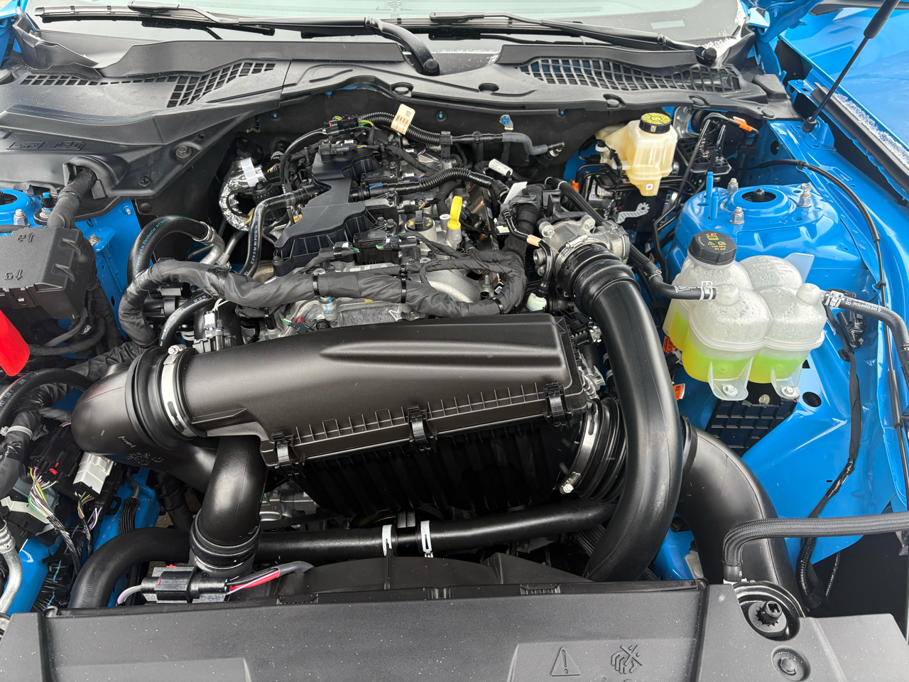 Ford Mustang EcoBoost Fastback 2026