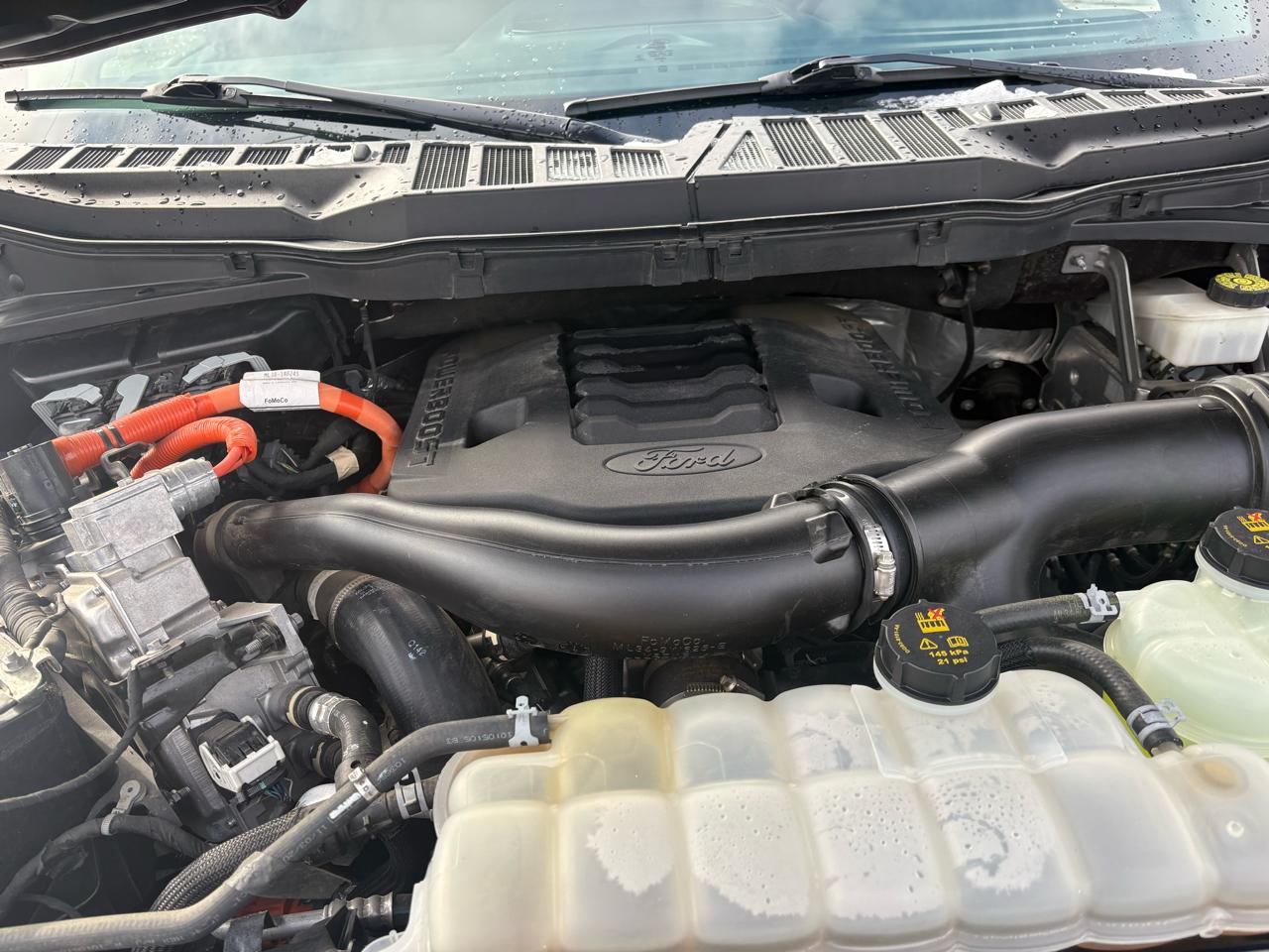 Ford F-150 SuperCrew 150" XLT 4WD 2021