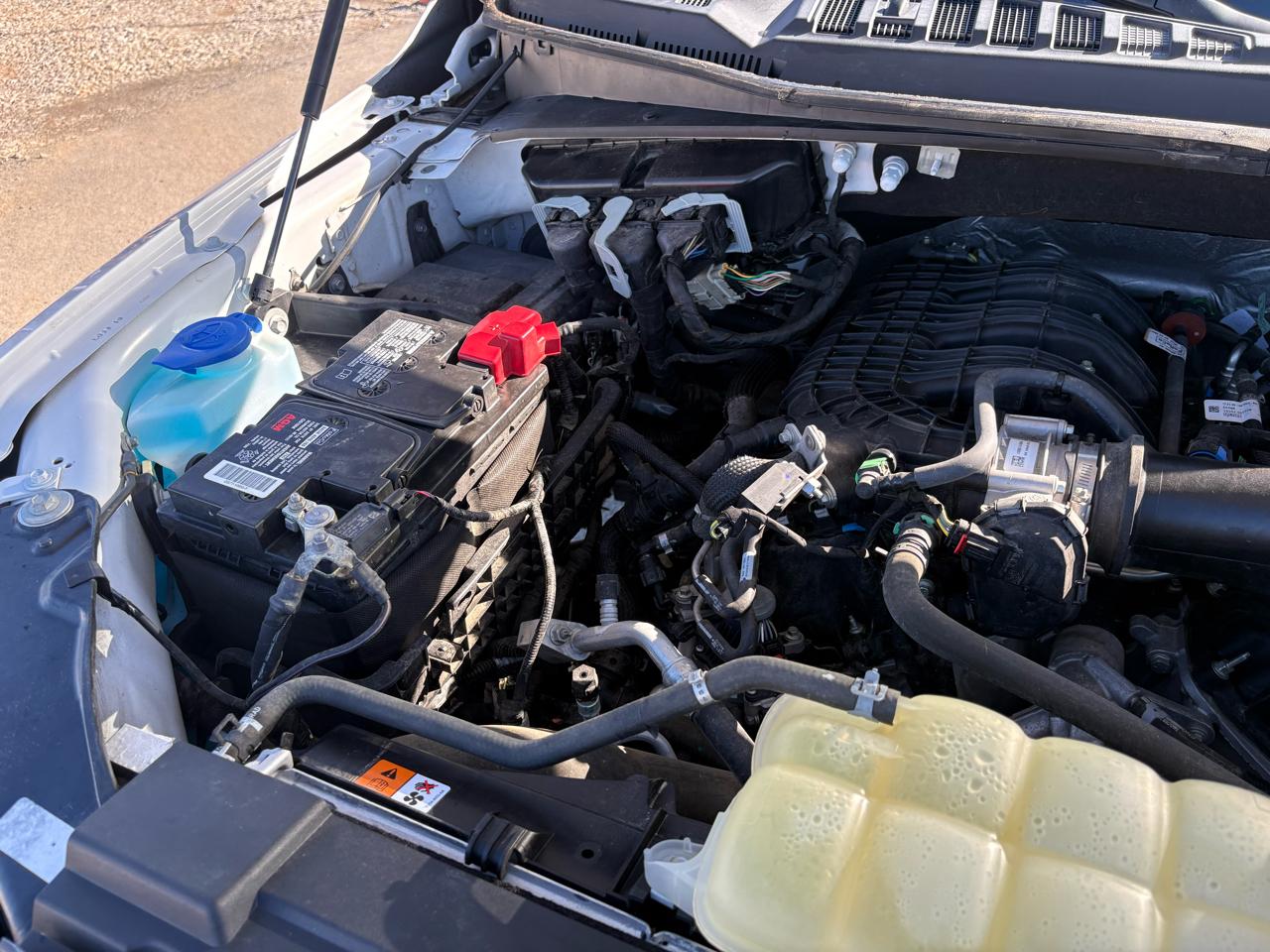 Ford F-150 4WD Reg Cab 126" XL 2019