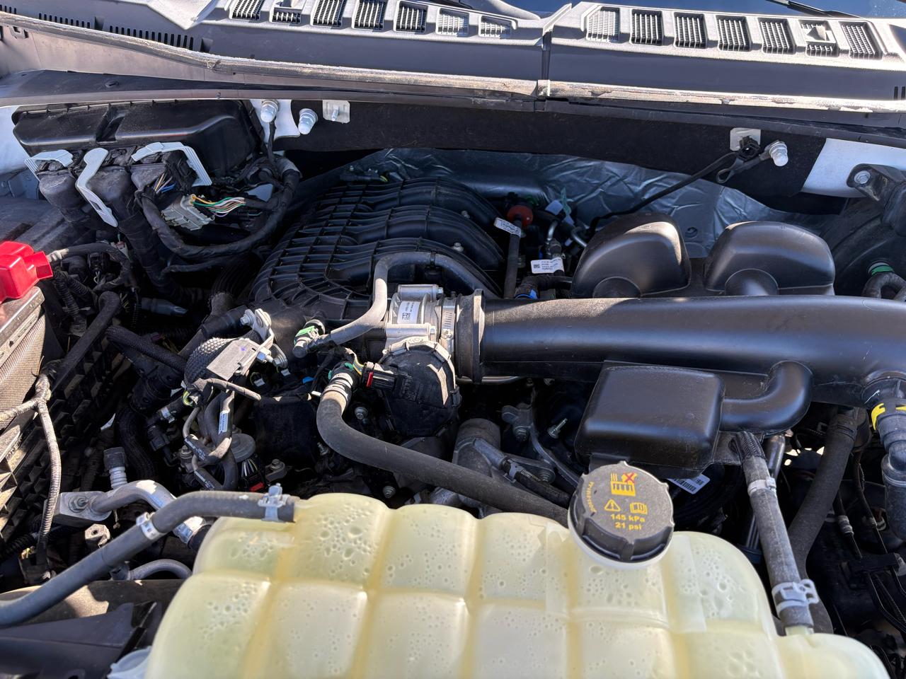 Ford F-150 4WD Reg Cab 126" XL 2019