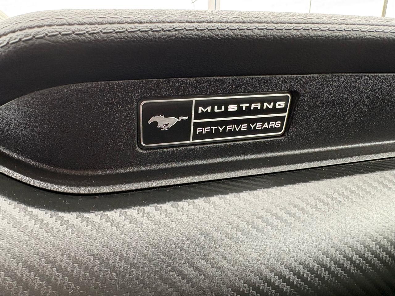 Ford Mustang EcoBoost Fastback 2020