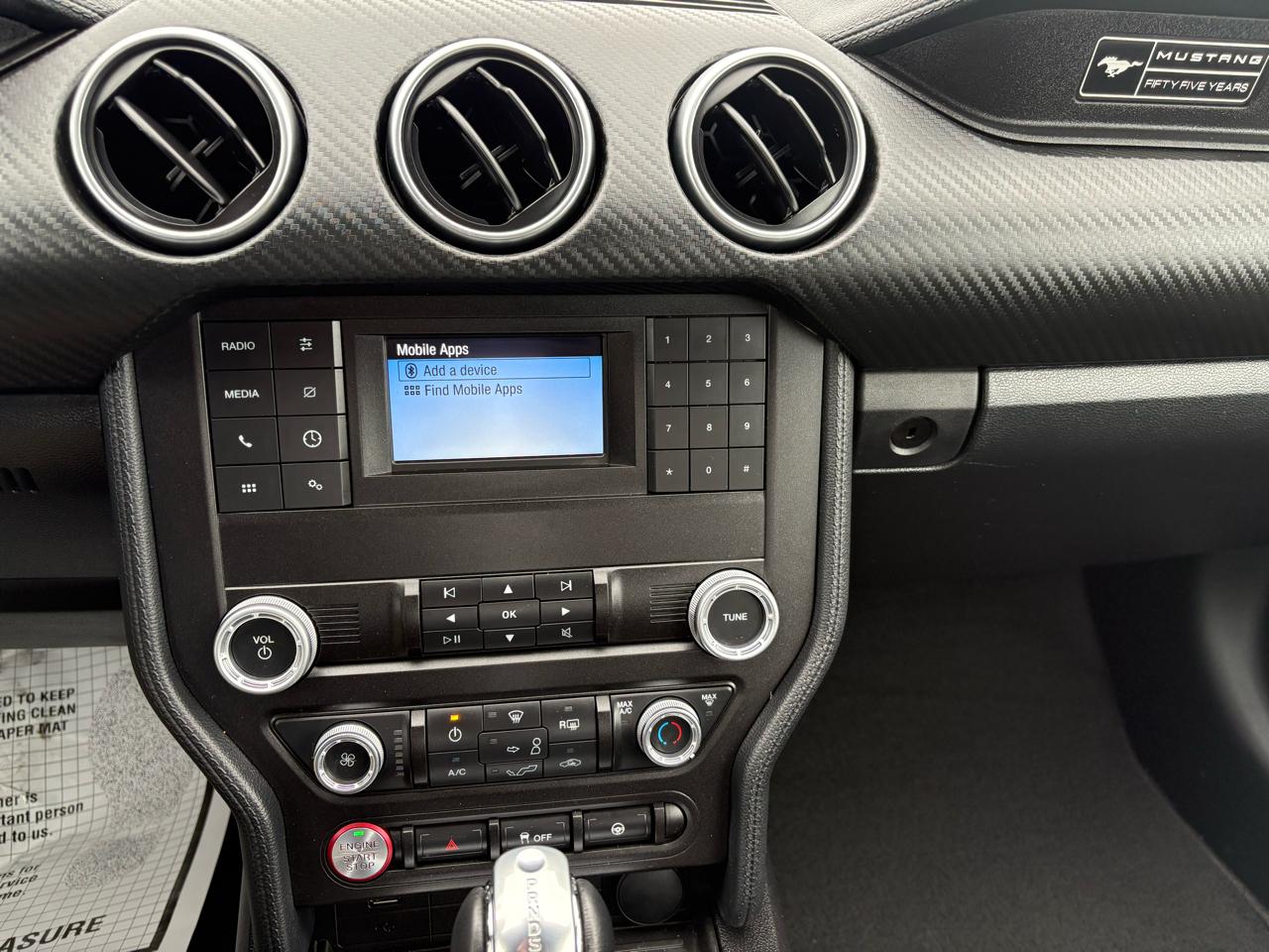 Ford Mustang EcoBoost Fastback 2020