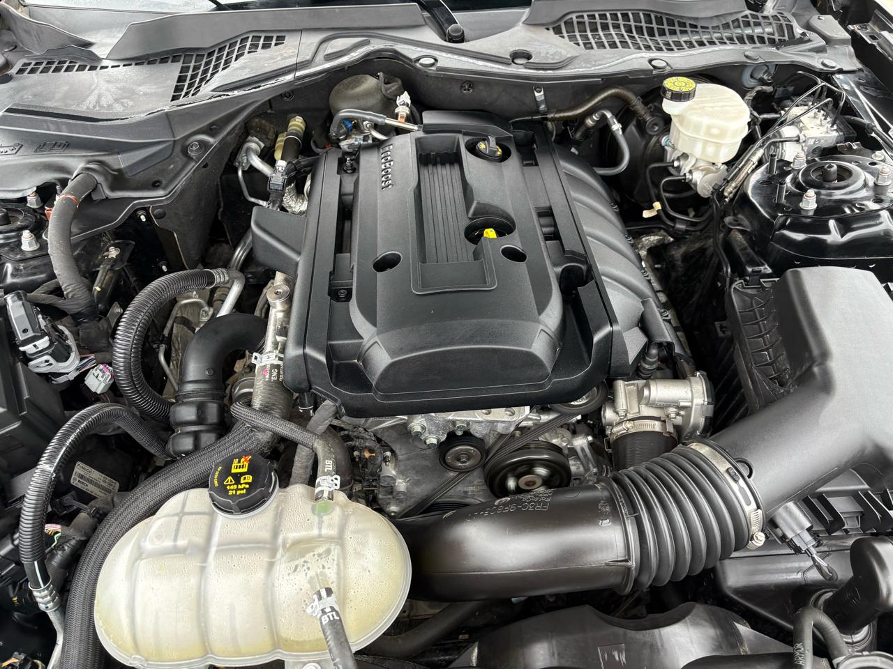 Ford Mustang EcoBoost Fastback 2020