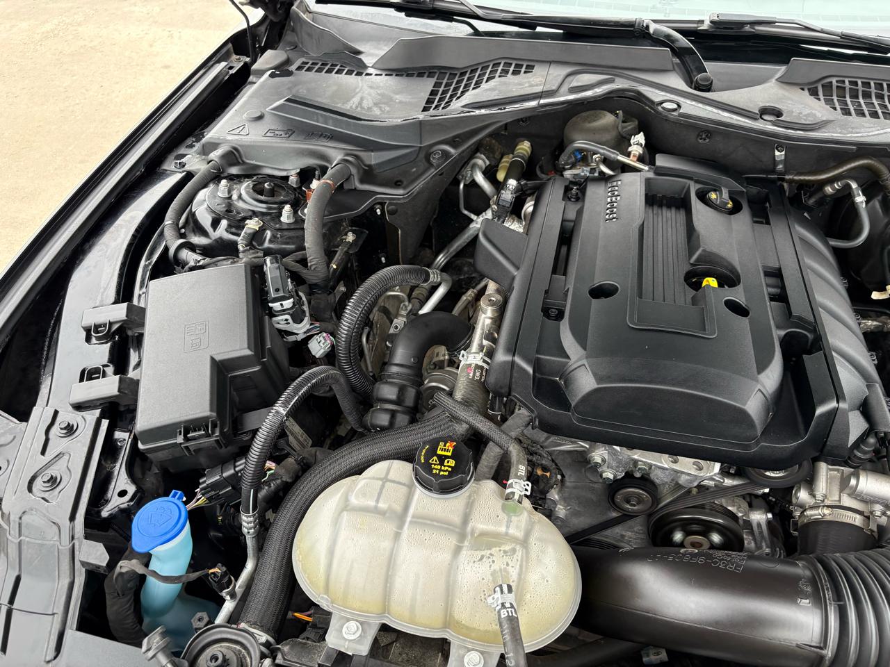 Ford Mustang EcoBoost Fastback 2020