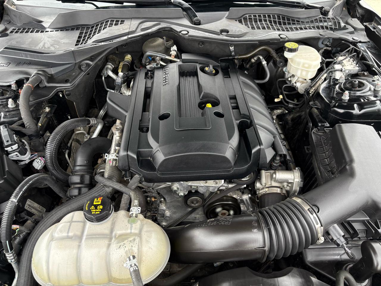 Ford Mustang EcoBoost Fastback 2020