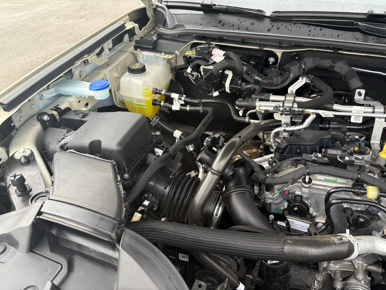 Ford Ranger XLT 4WD SuperCrew 5' Box 2025