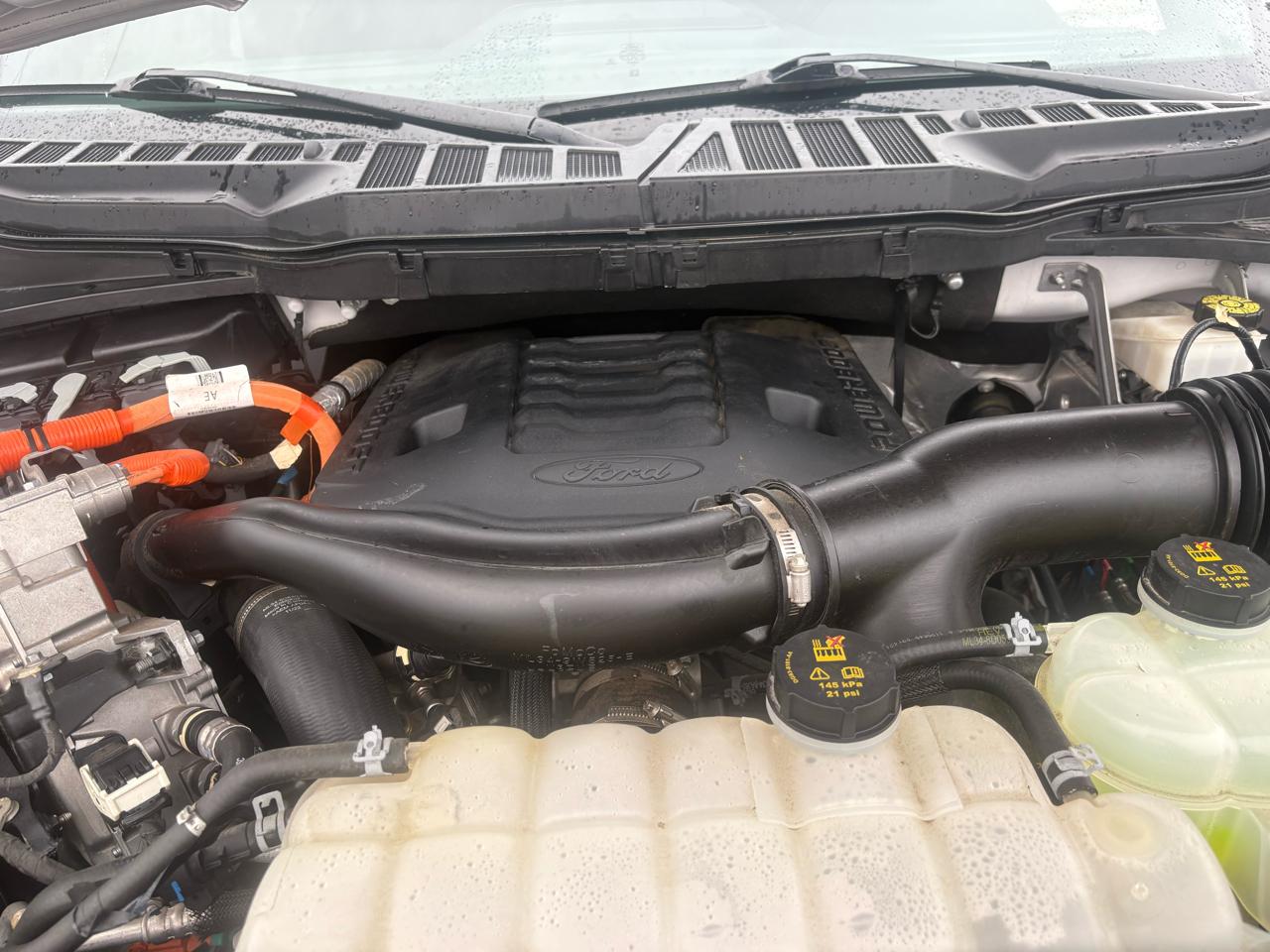 Ford F-150 XLT SuperCrew 4WD 2023