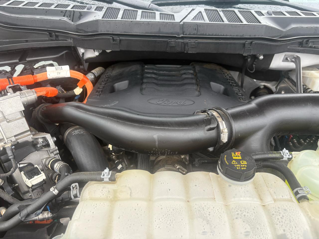 Ford F-150 XLT SuperCrew 4WD 2023