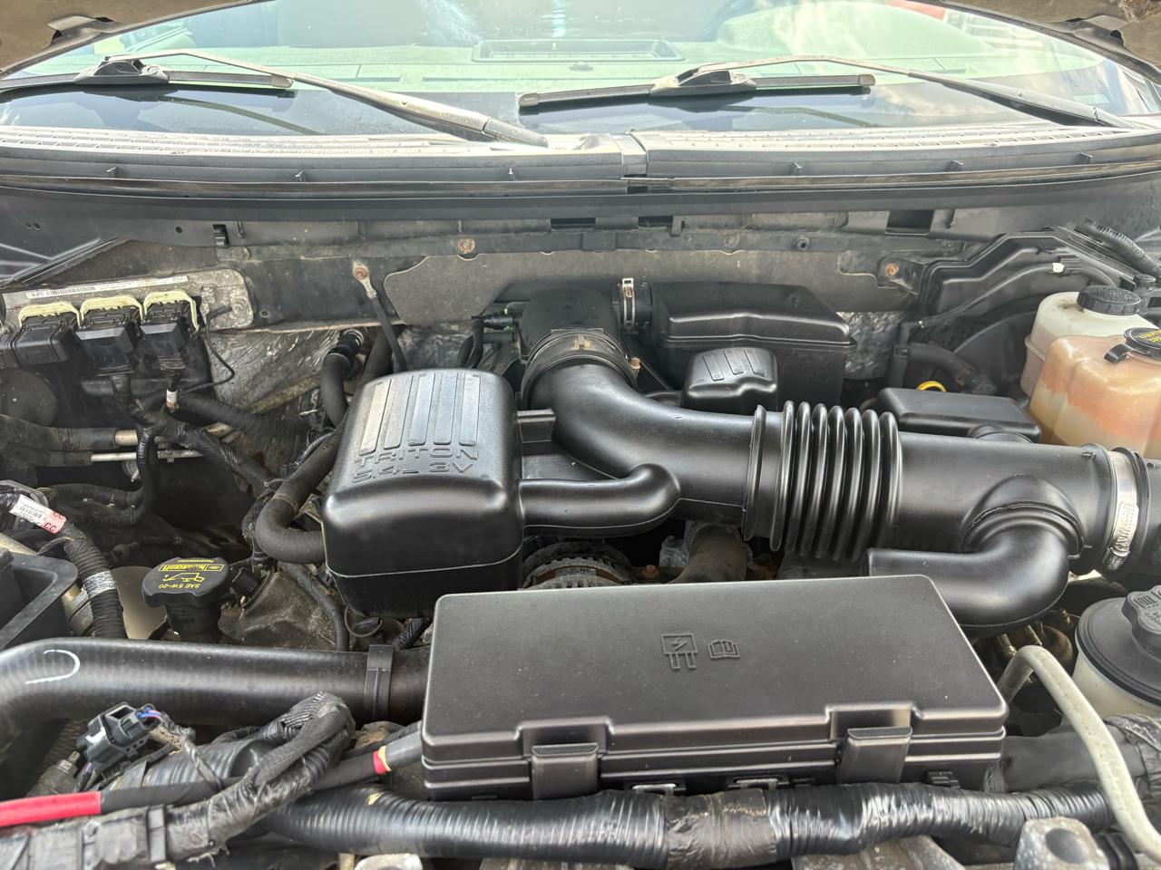 Ford F-150 XLT 4WD SuperCrew 6.5' Box 2010
