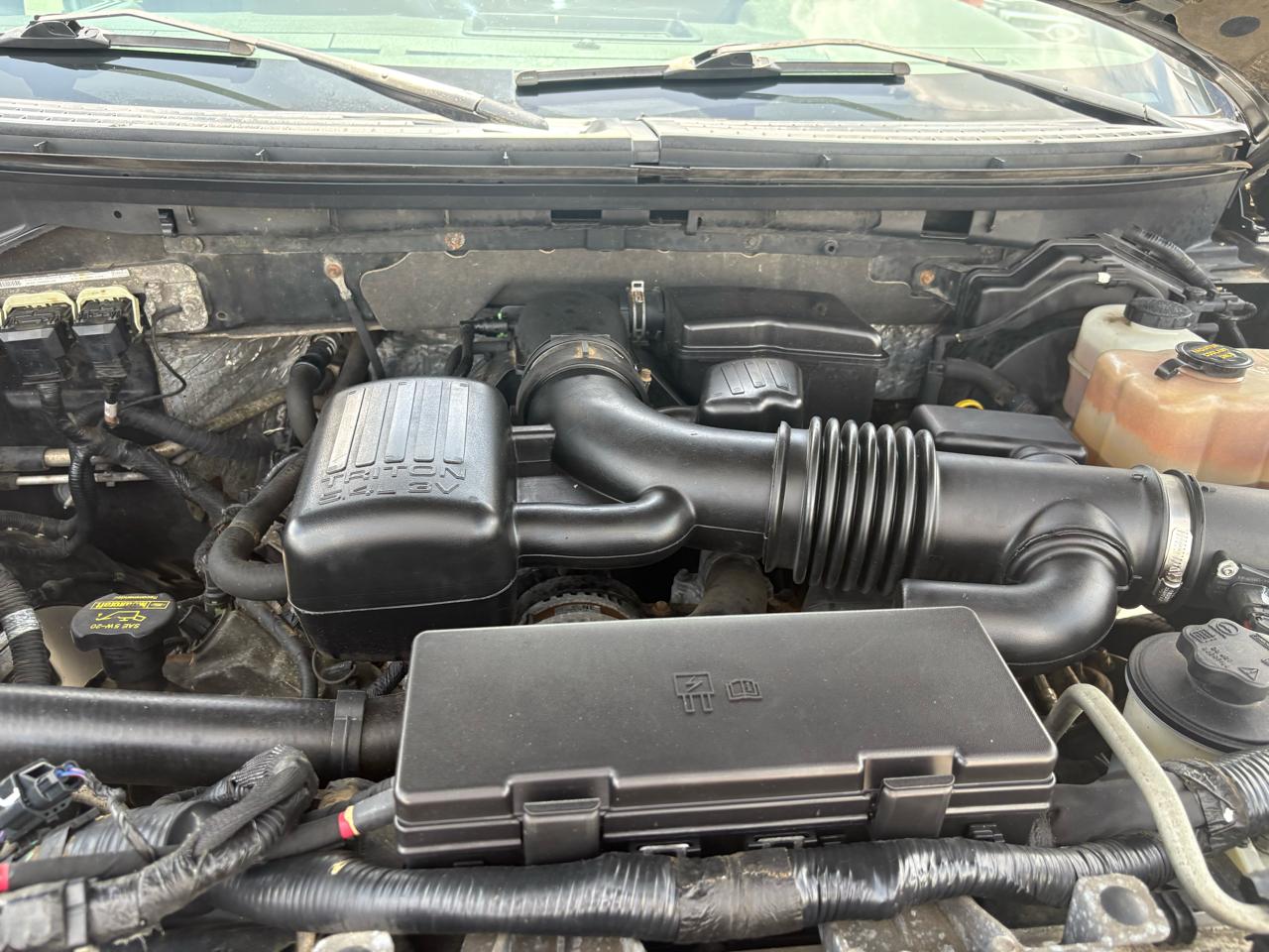 Ford F-150 XLT 4WD SuperCrew 6.5' Box 2010