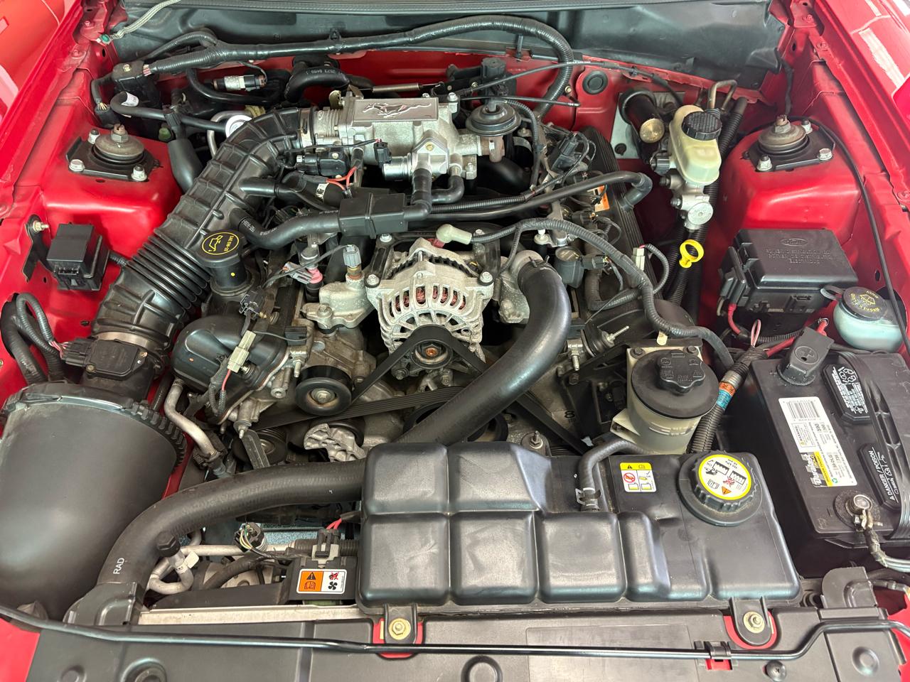 Ford Mustang 2dr Conv GT Deluxe 2004