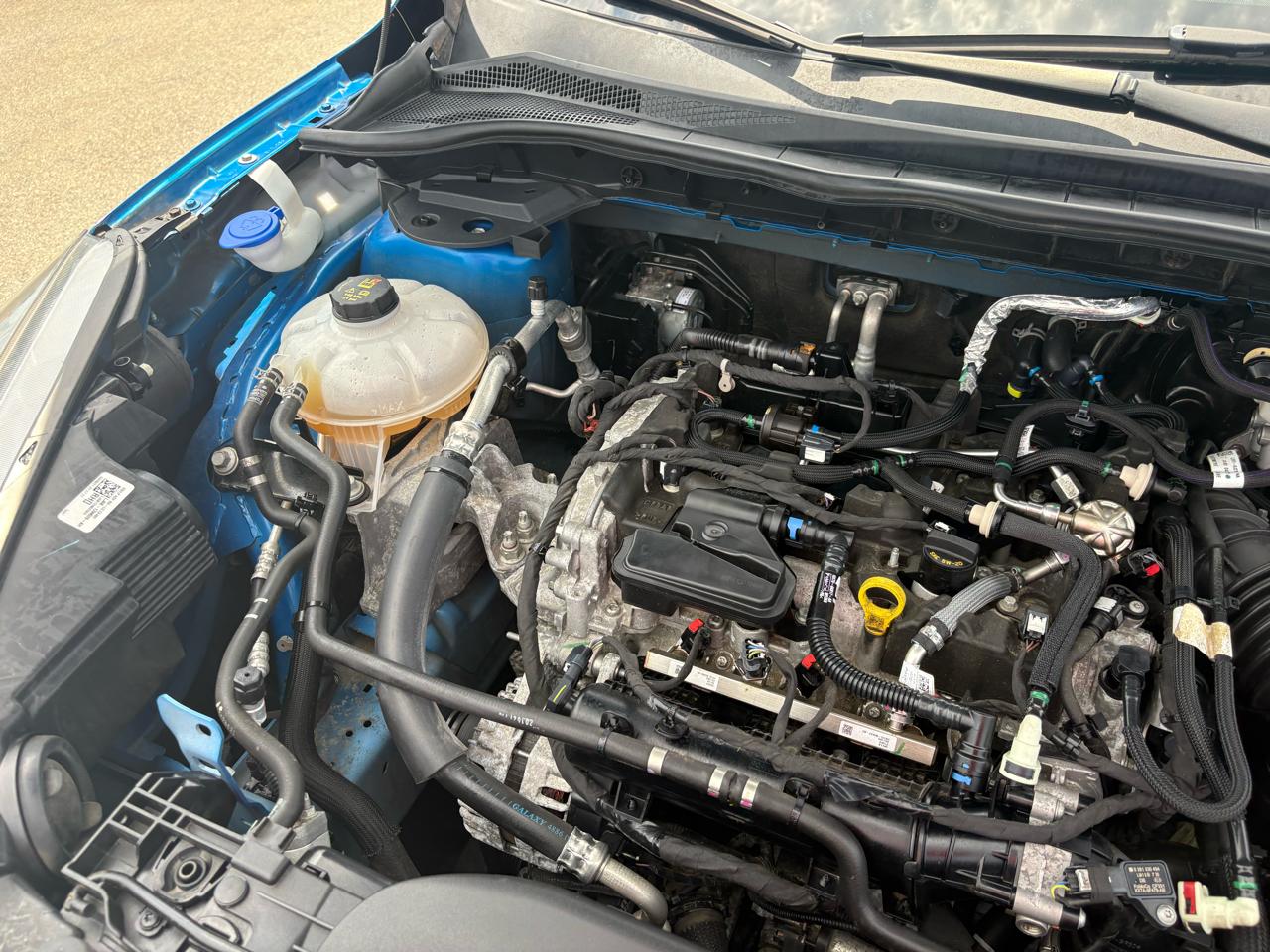 Ford Escape SE FWD 2021