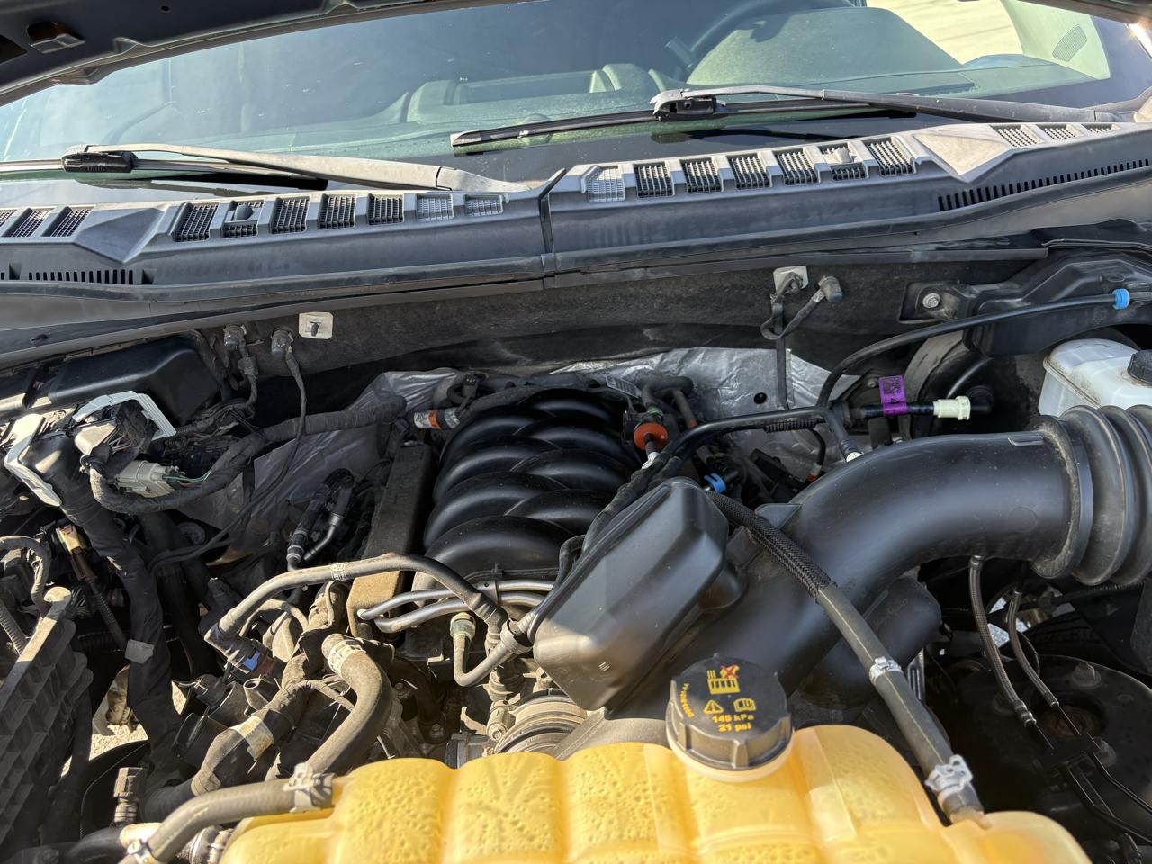 Ford F-150 4WD SuperCrew 145" STX 2019